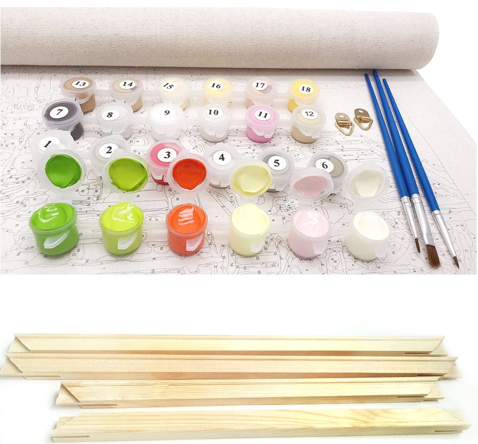 Ballerina | Schilderen op Nummer