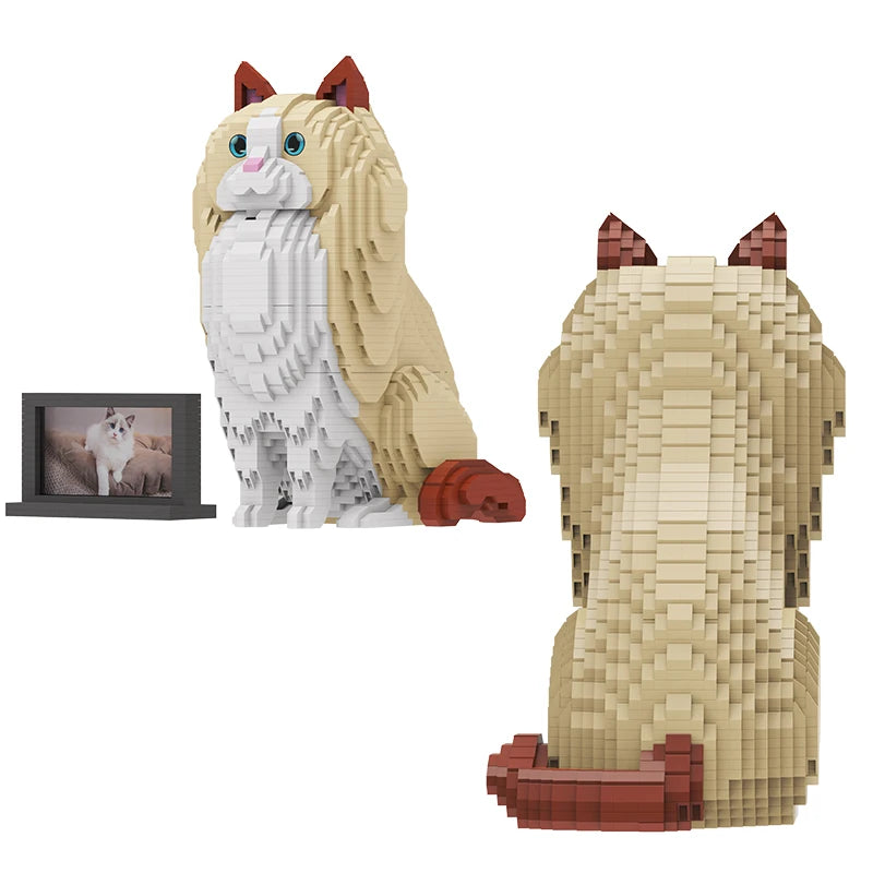 Ragdoll Kat | Bouwsteentjes