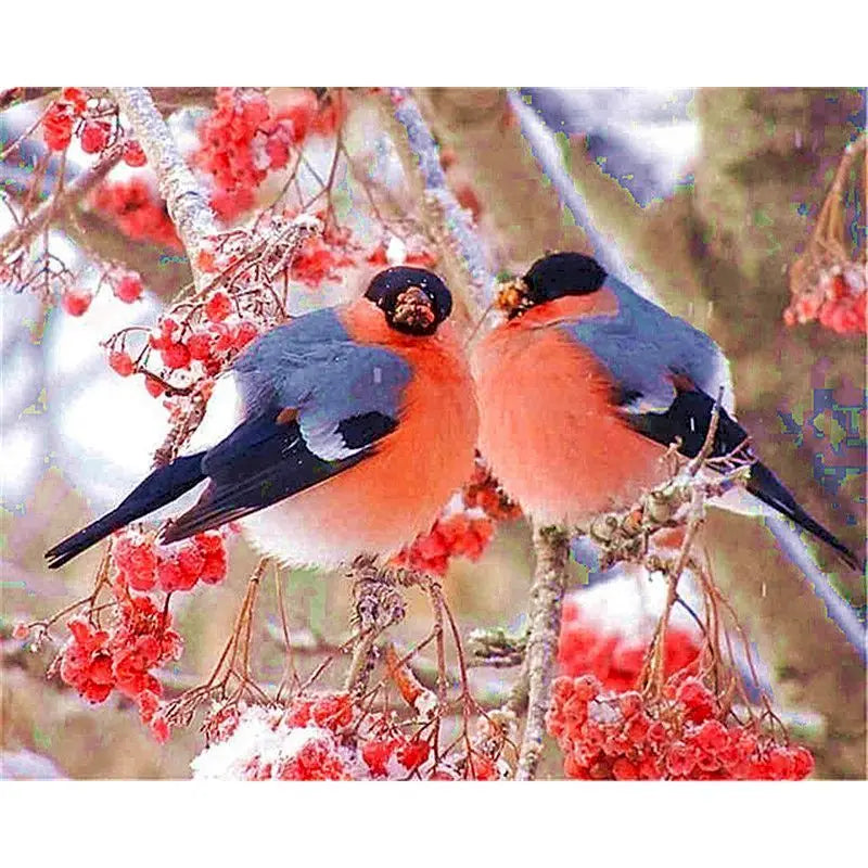 Koolmezen | Schilderen op Nummer