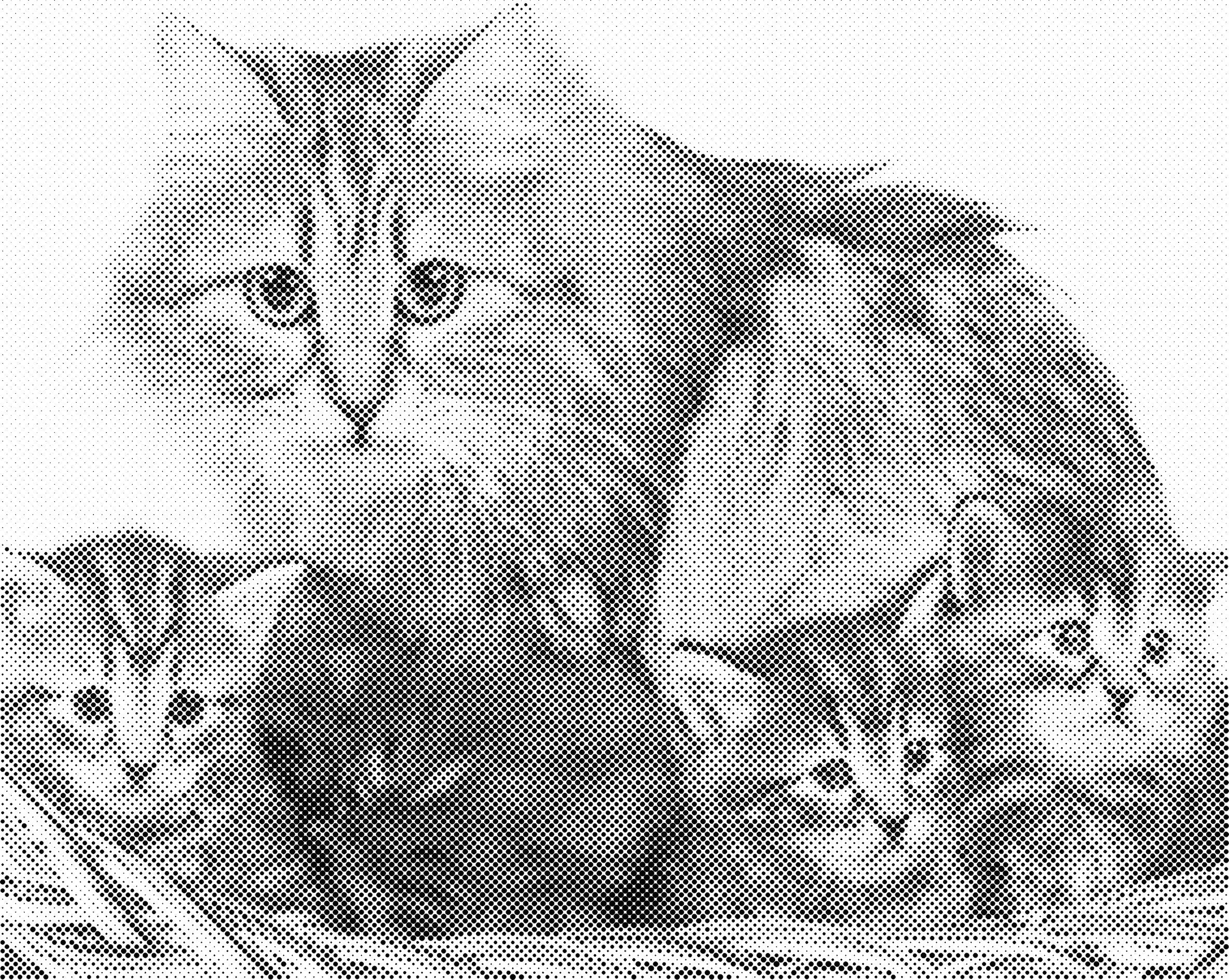 Kat met kittens | Dot painting