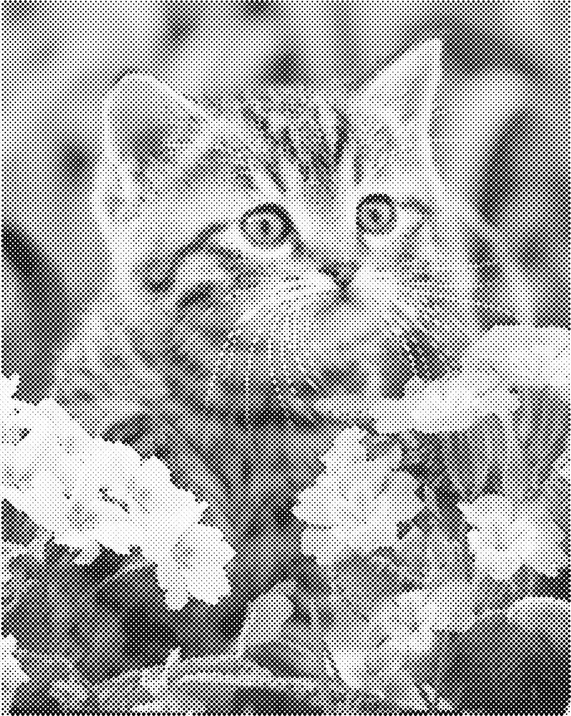 Prachtige kat | Dot painting