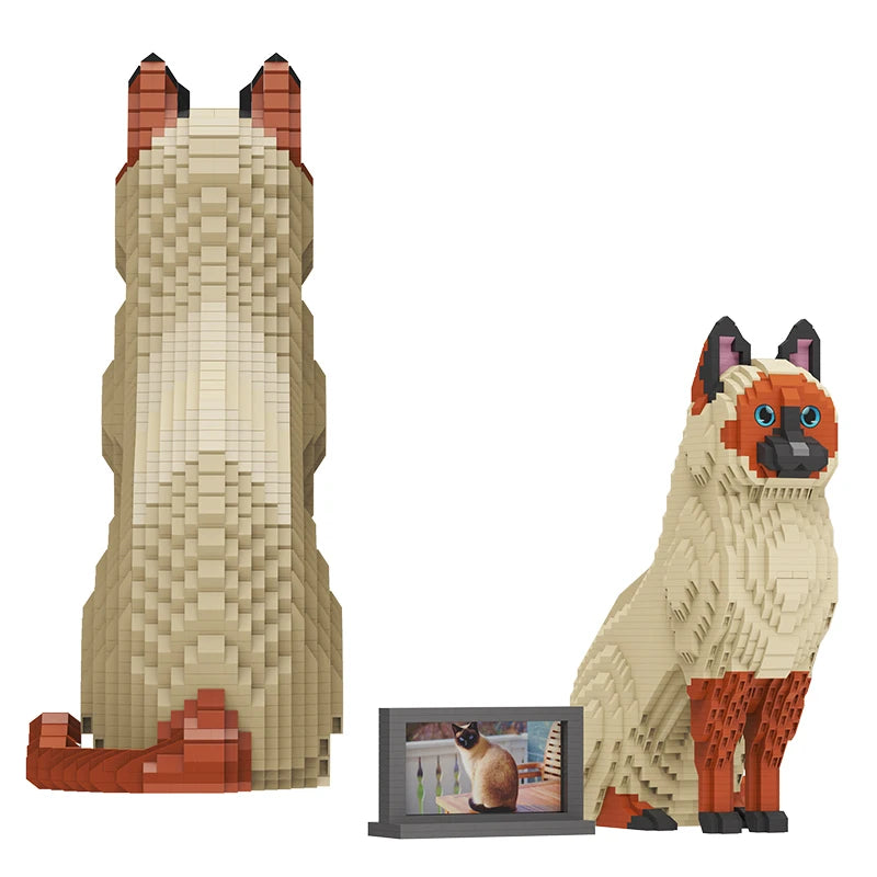 Siamese Kat | Bouwsteentjes