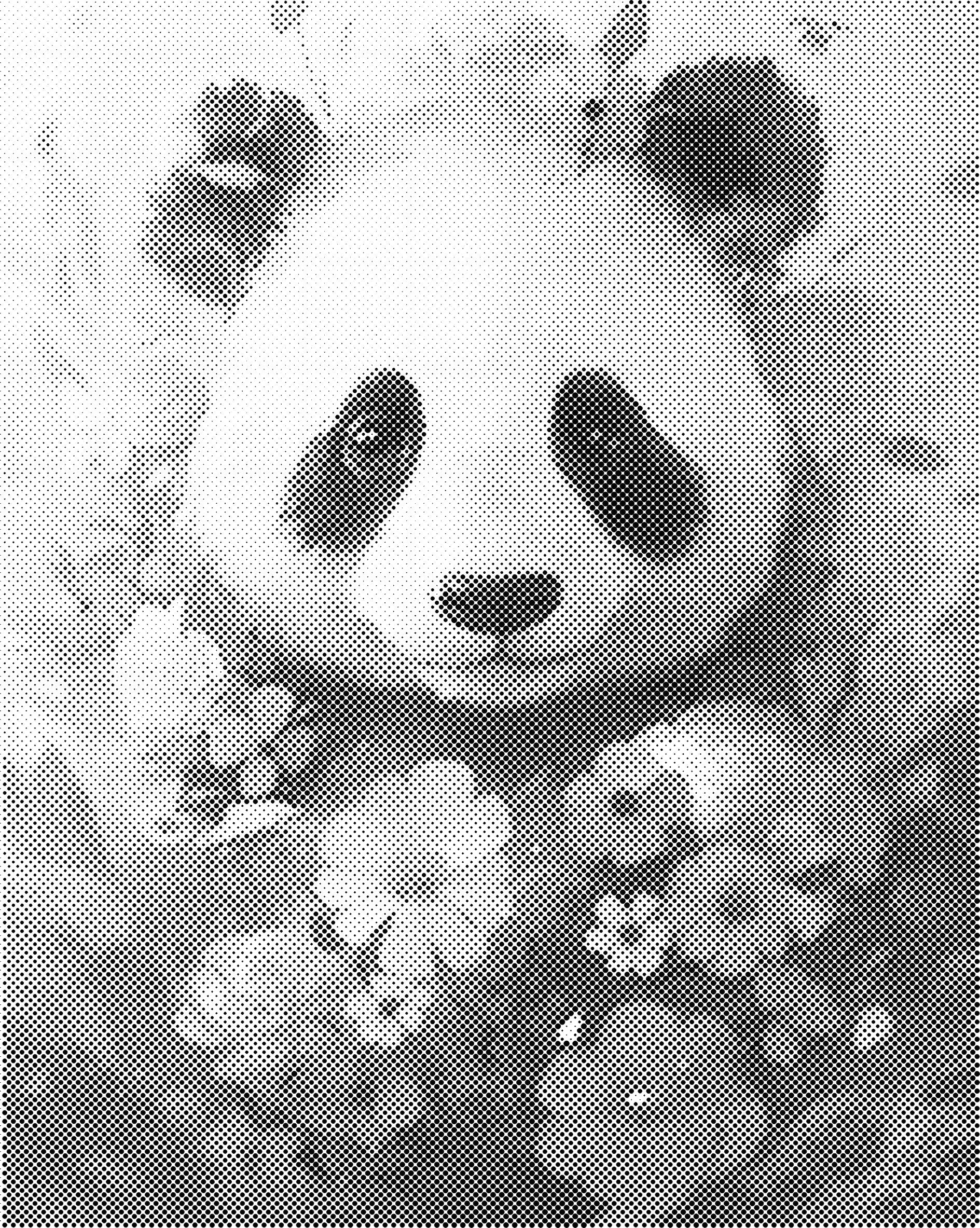 Panda | Dot painting