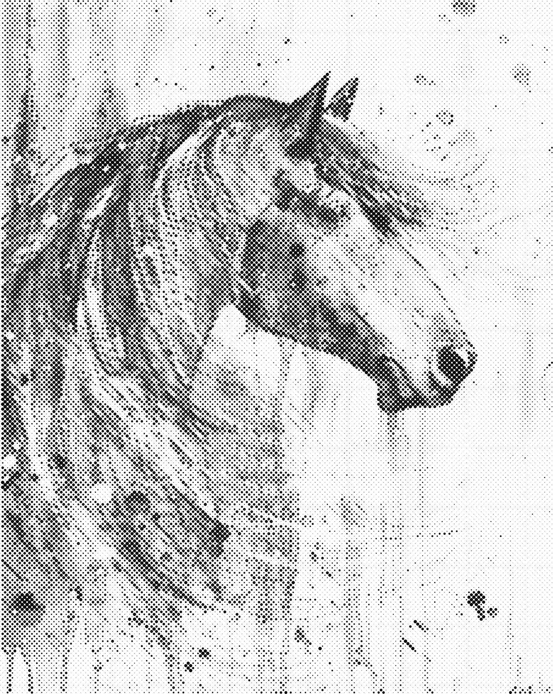 Paard in de wind | Dot painting