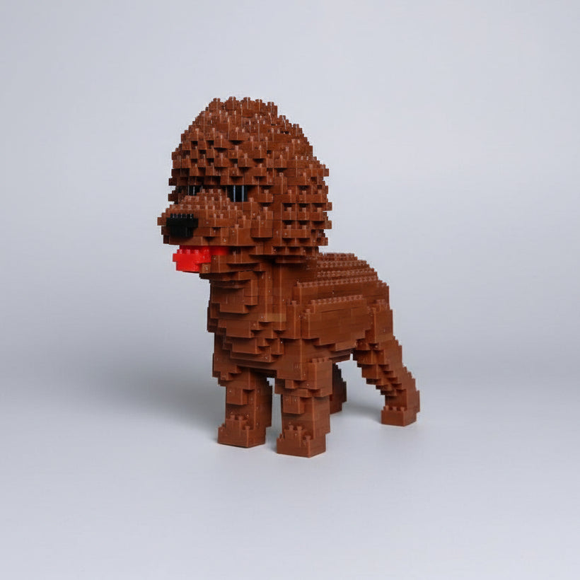 Bruine Poedel | Bouwsteentjes