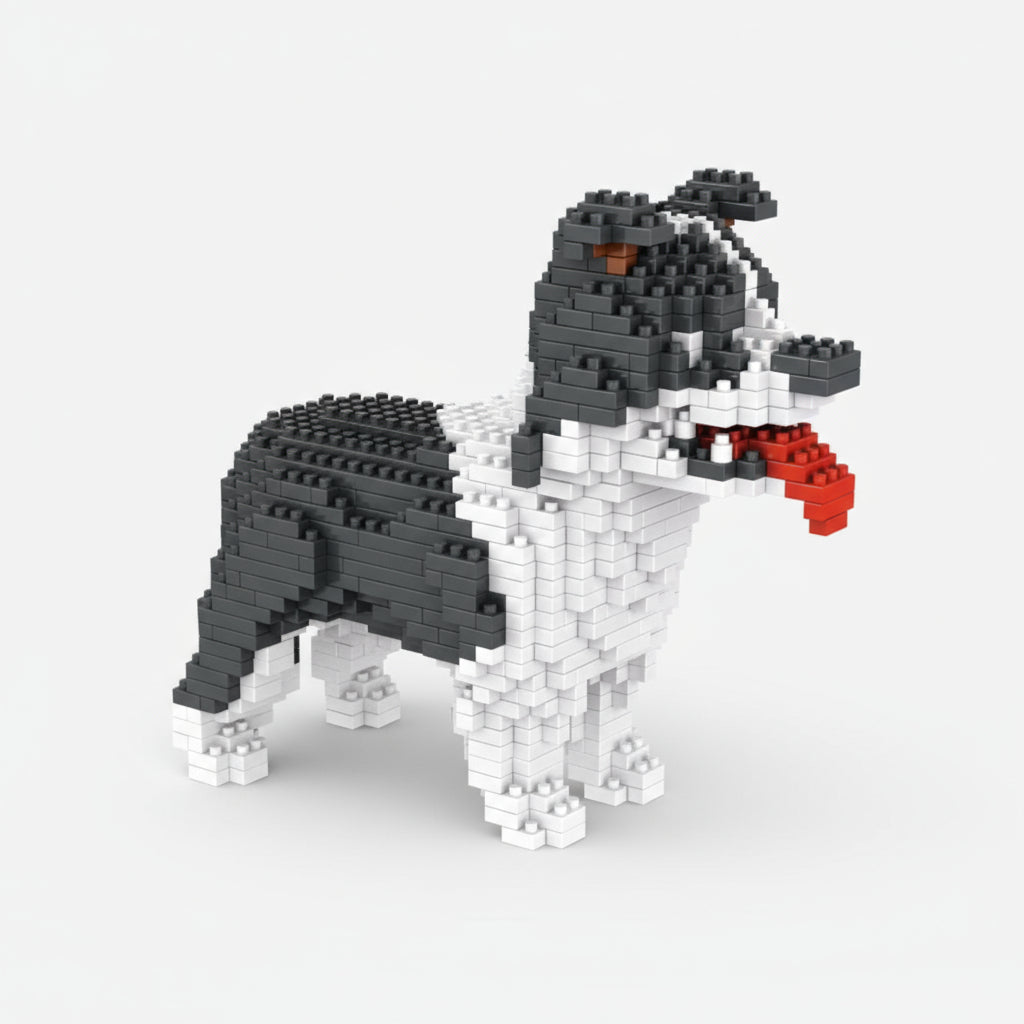 Border Collie Bouwblokjes