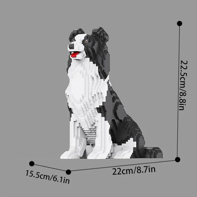 Border Collie | Bouwsteentjes