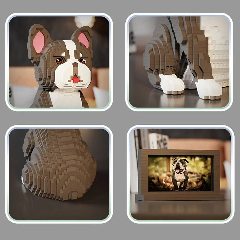 Franse Bulldog | Bouwsteentjes