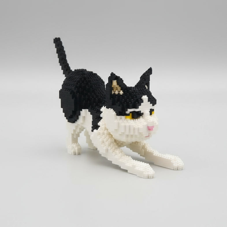Poes Bouwblokjes
