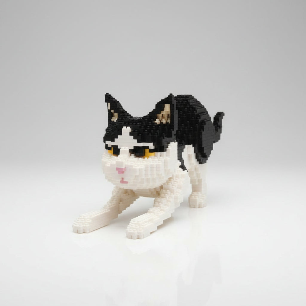 Poes Bouwblokjes