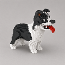 Border Collie | Bouwsteentjes