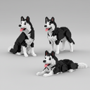 3 in 1 Husky | Bouwsteentjes