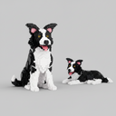 2 in 1 Border collie | Bouwsteentjes
