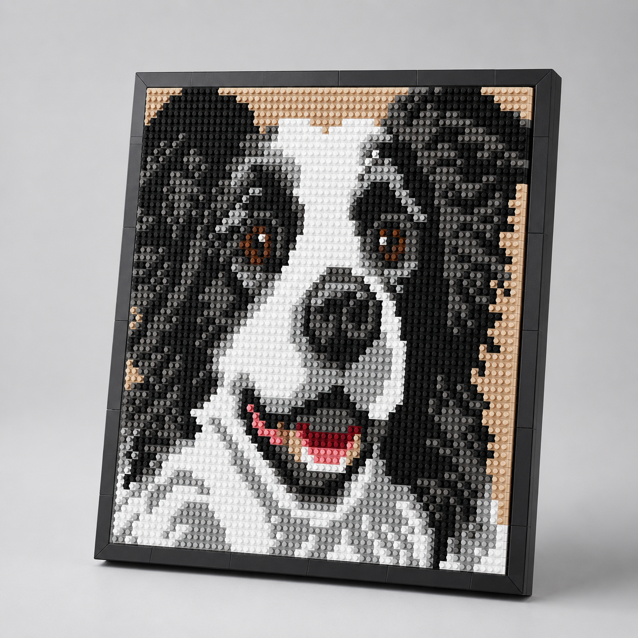Border collie Schilderij | Bouwsteentjes