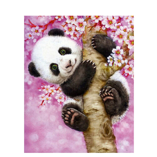 Schattige Panda | Schilderen op Nummer