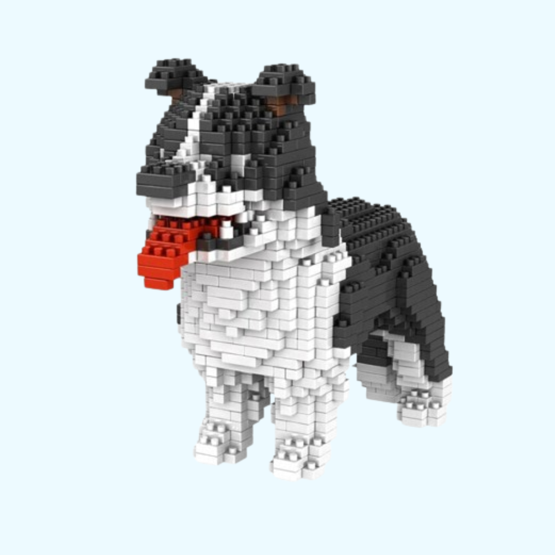 Border Collie | Bouwsteentjes