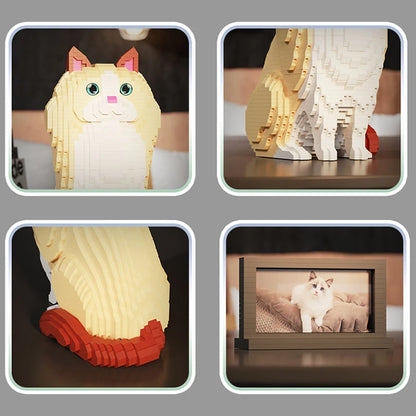 Ragdoll Kat | Bouwsteentjes