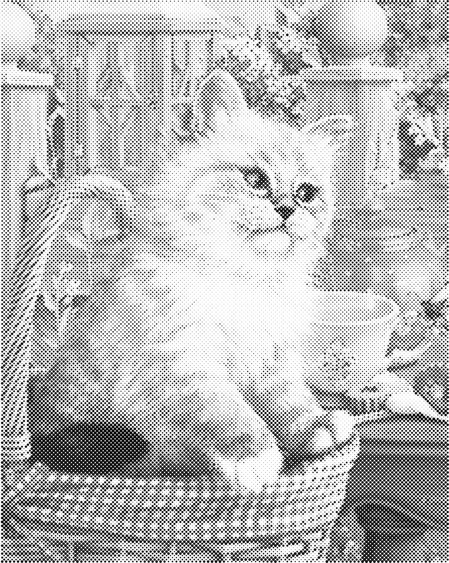 Schattig katje | Dot painting