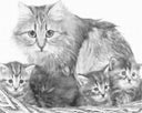 Kat met kittens | Dot painting
