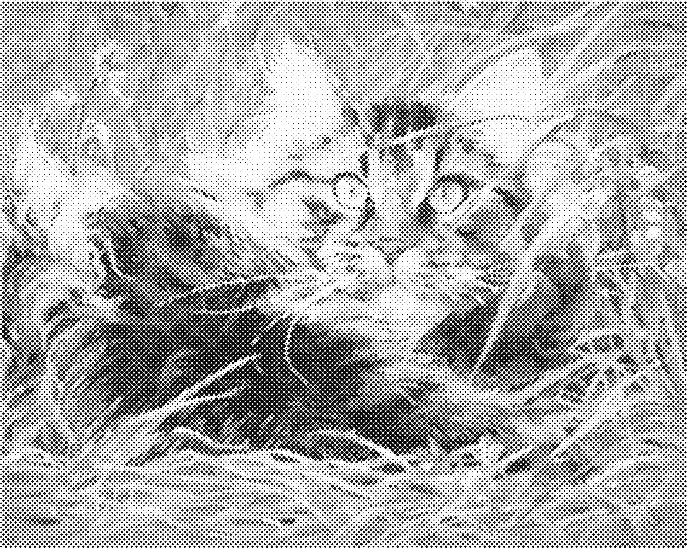 Kat in gras | Dot painting