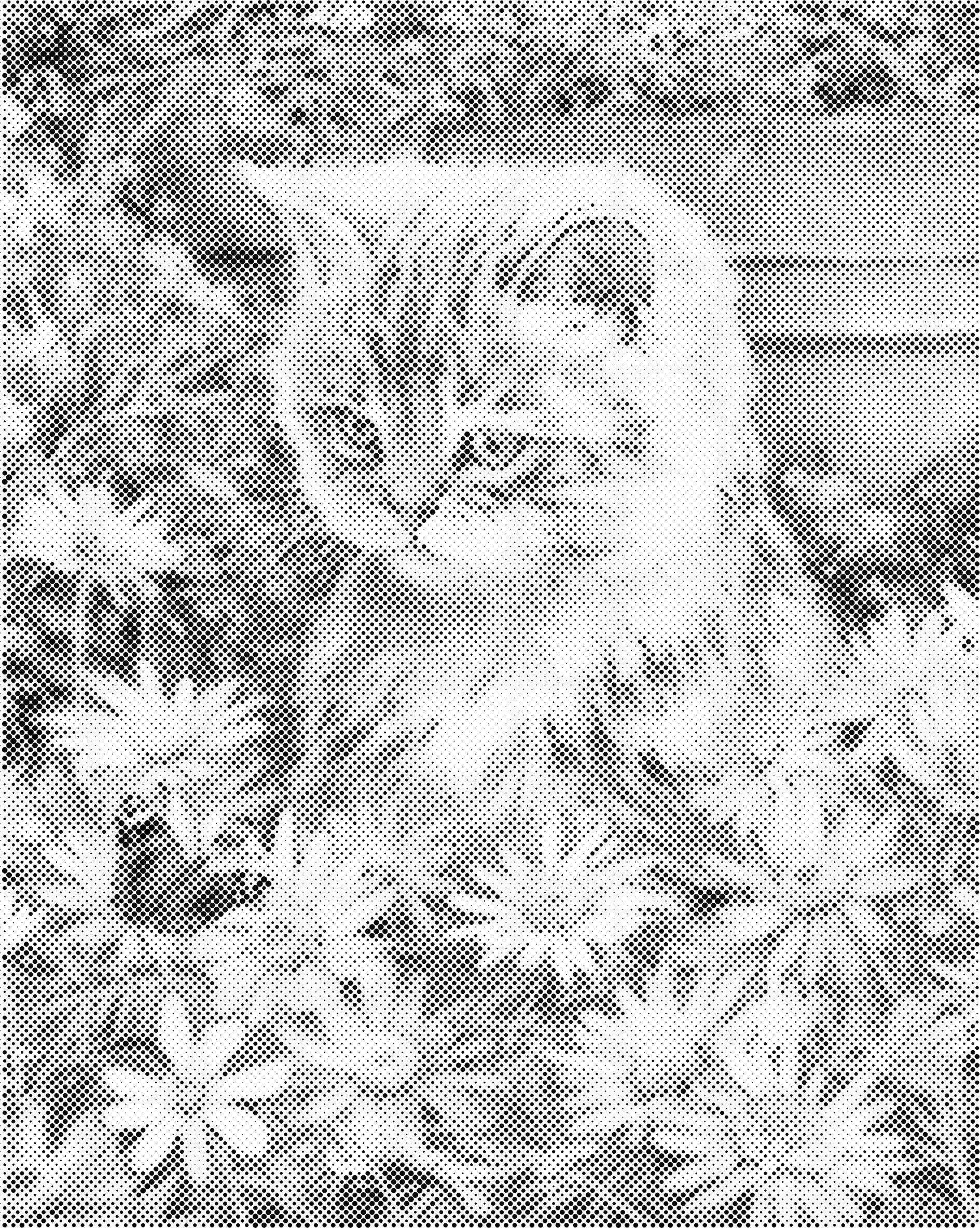 Kat tussen madeliefjes | Dot painting