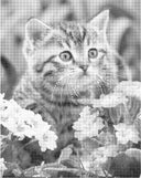 Prachtige kat | Dot painting
