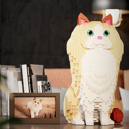 Ragdoll Kat | Bouwsteentjes