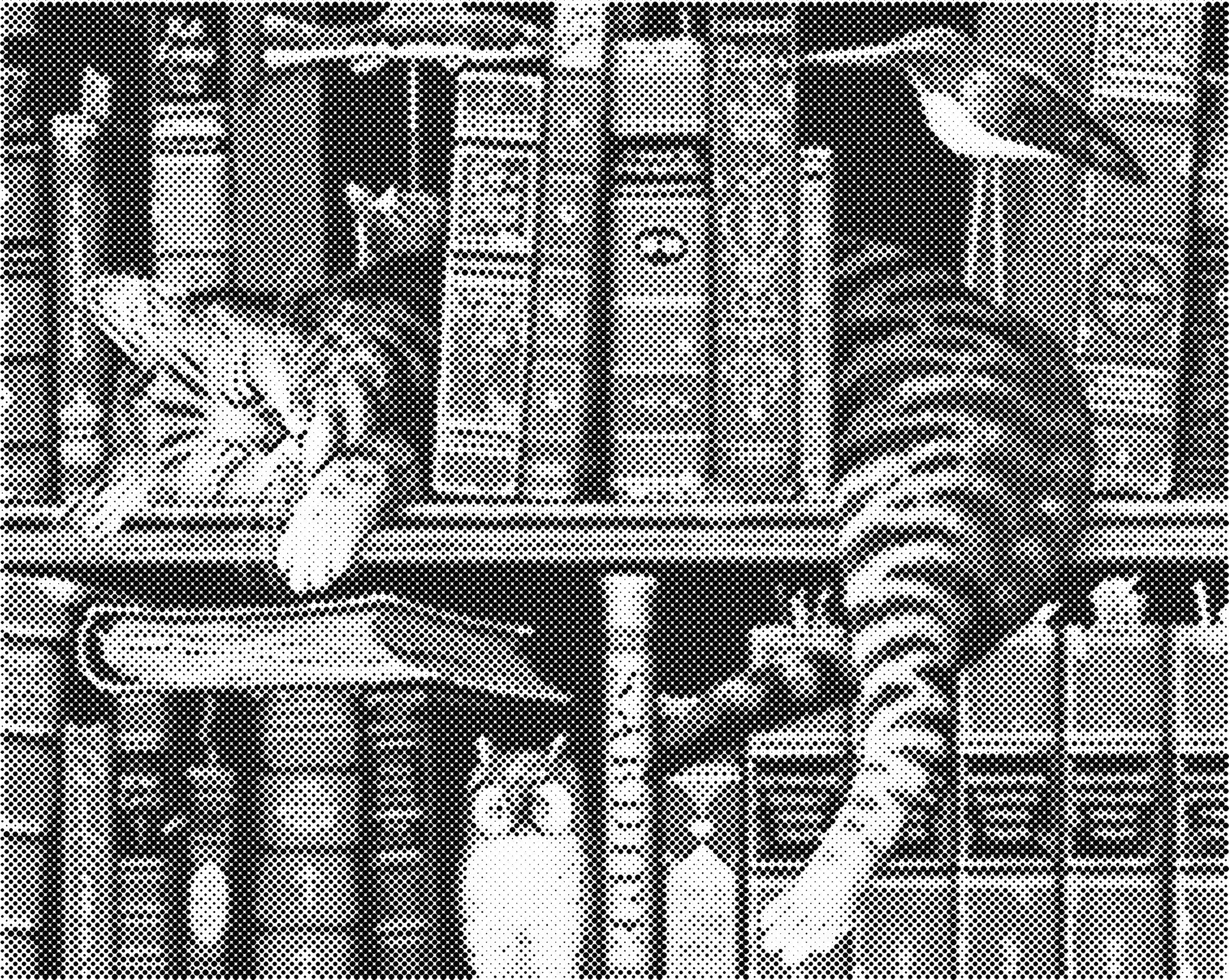 Kat in boekenkast | Dot painting