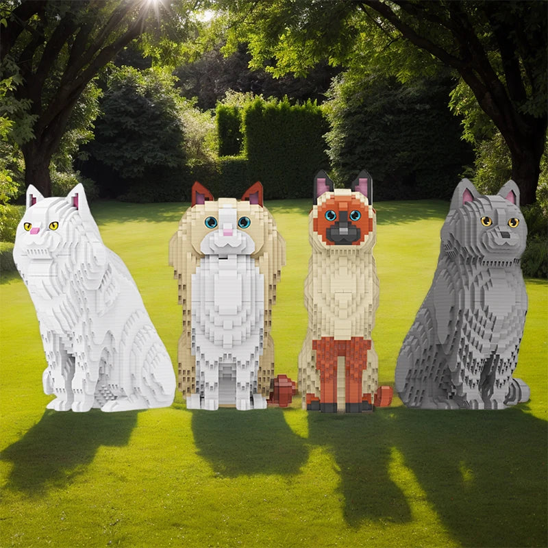 Ragdoll Kat | Bouwsteentjes