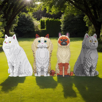 Ragdoll Kat | Bouwsteentjes
