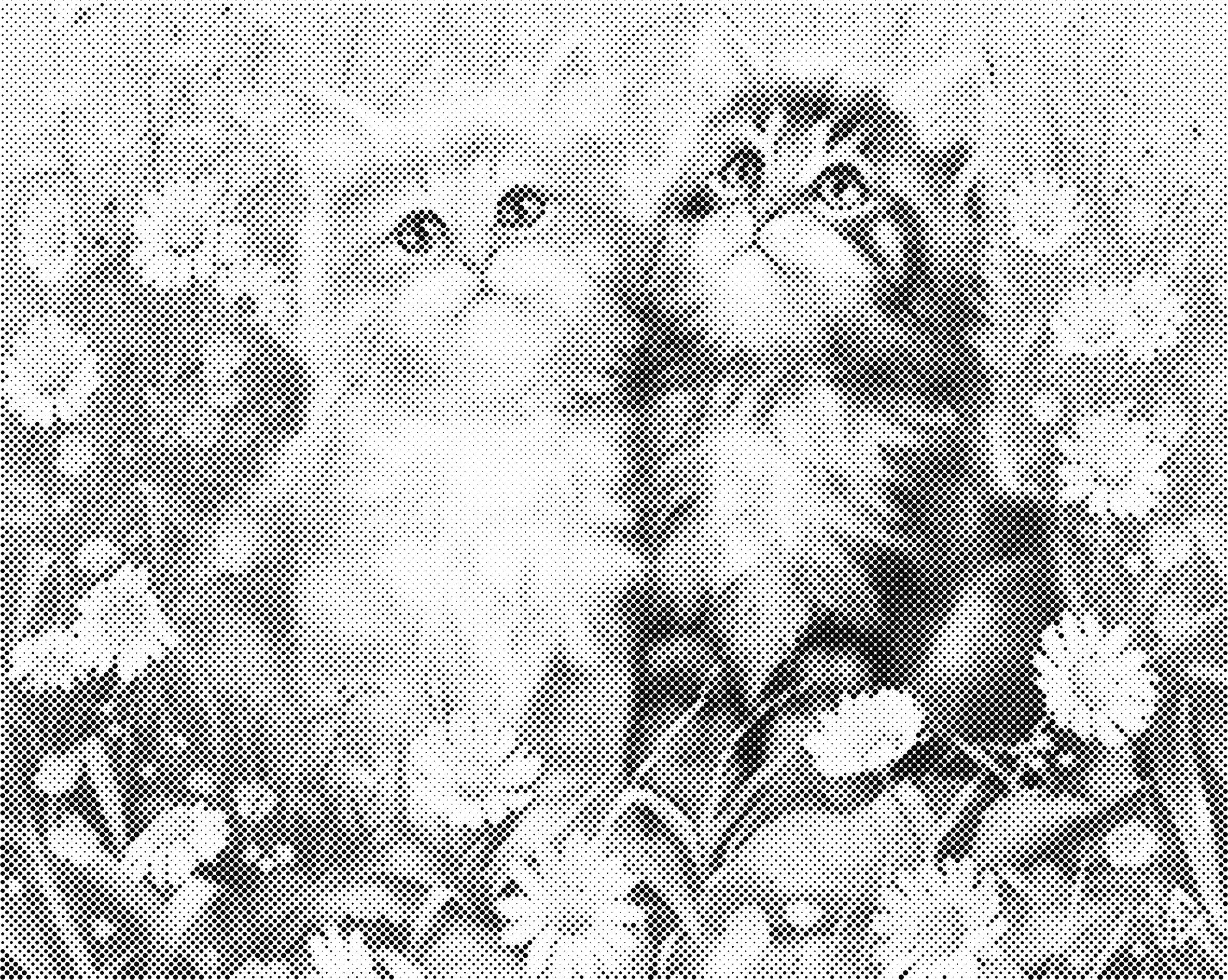 Lieve katten | Dot painting