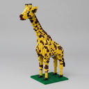 Giraffe op bouwplaat | Bouwsteentjes