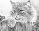 Kat over schutting | Dot painting