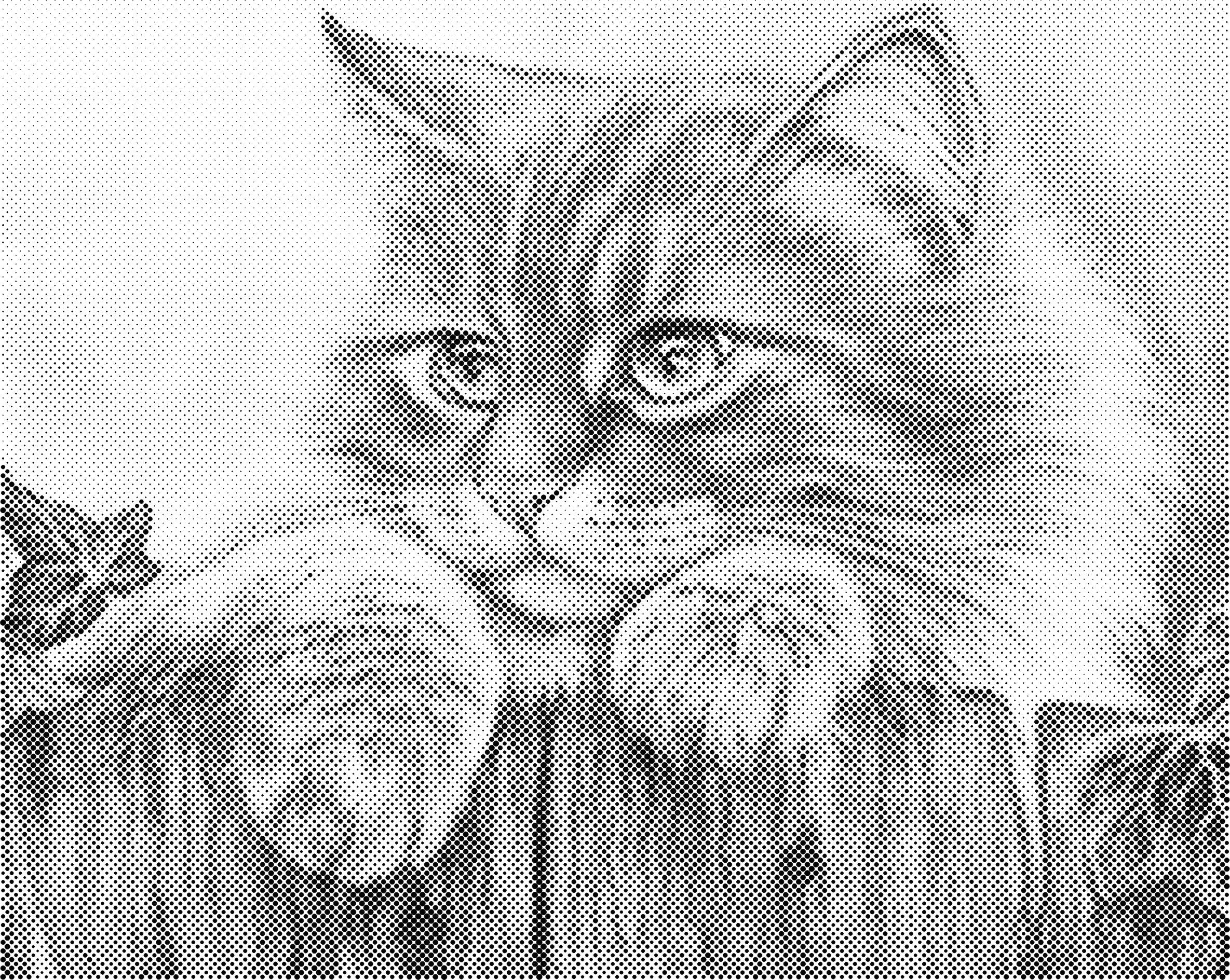 Kat over schutting | Dot painting