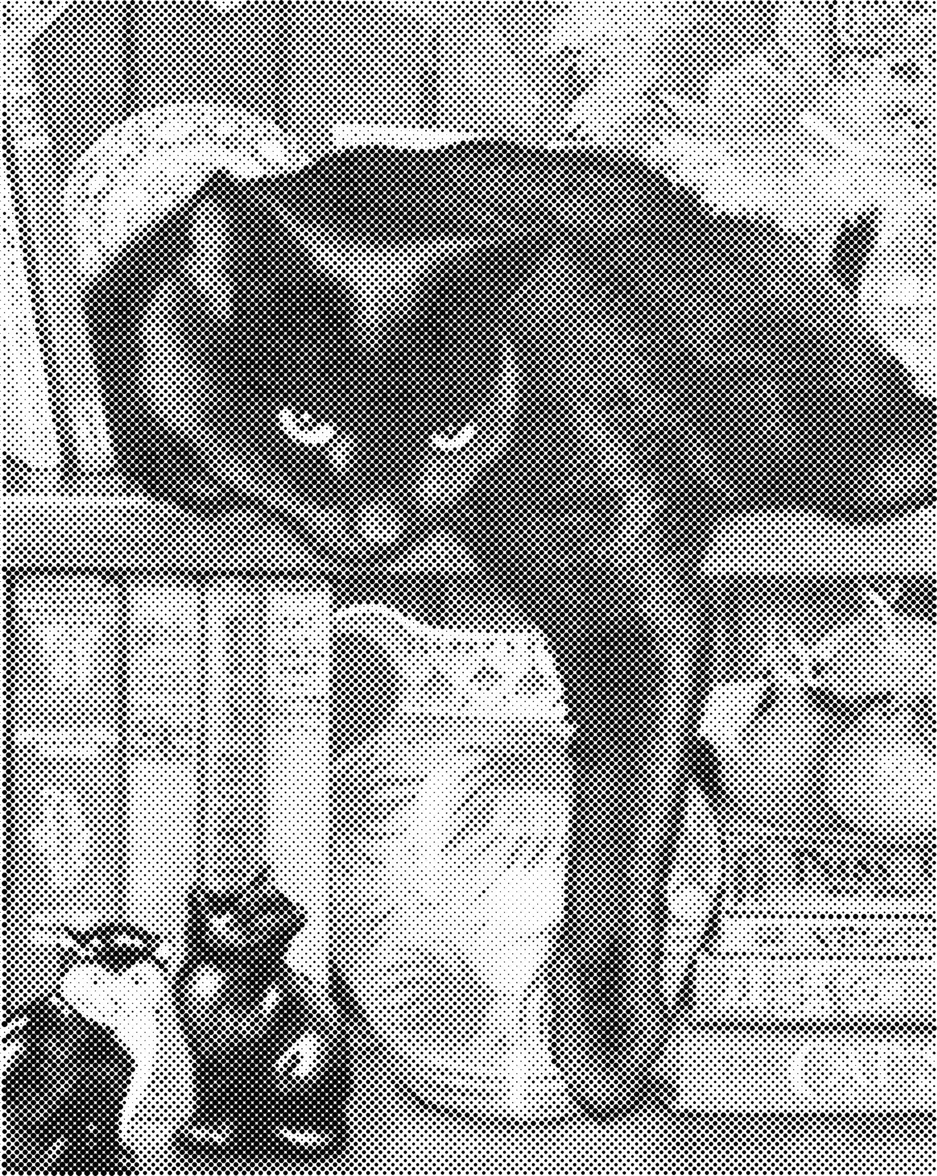 Zwarte kat | Dot painting