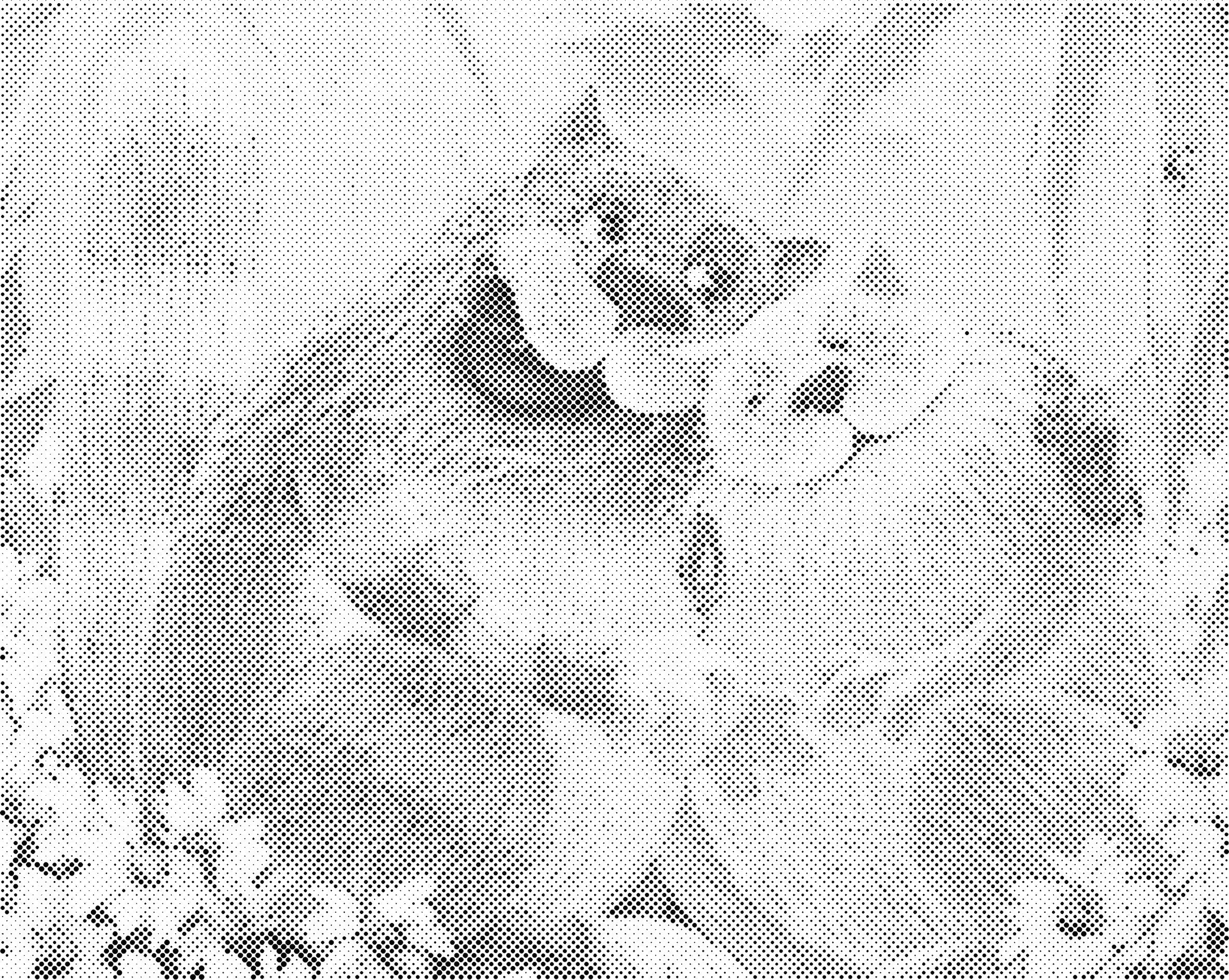 Grappige bevers | Dot painting