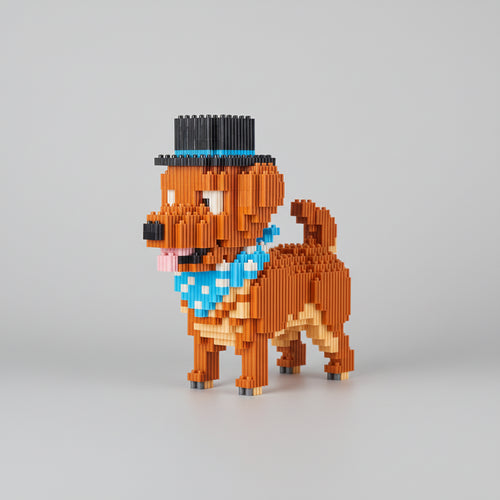 Hond met Hoed | Bouwsteentjes