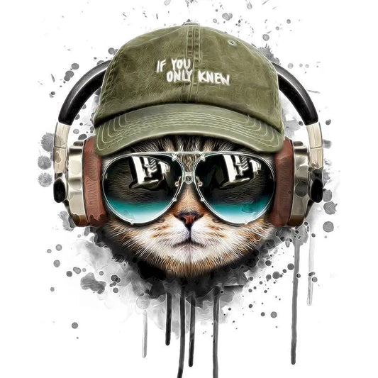 Coole kat met koptelefoon | Schilderen op Nummer