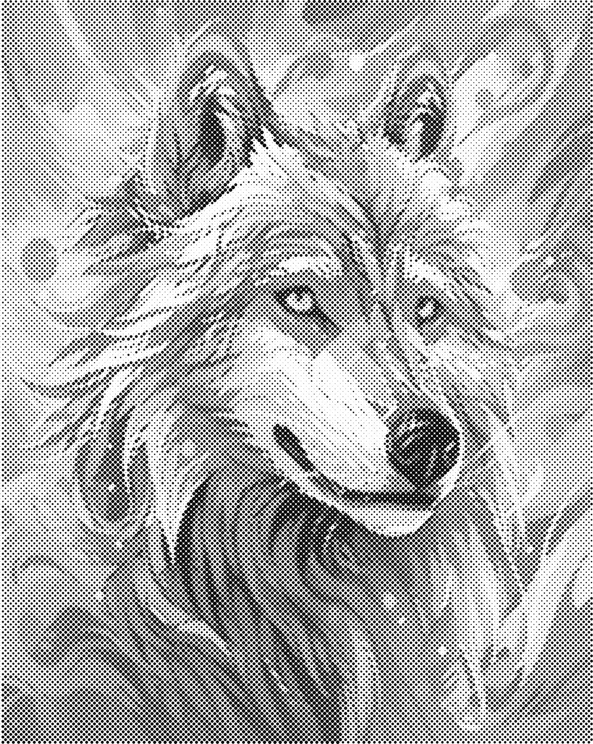 Mooie wolf | Dot painting