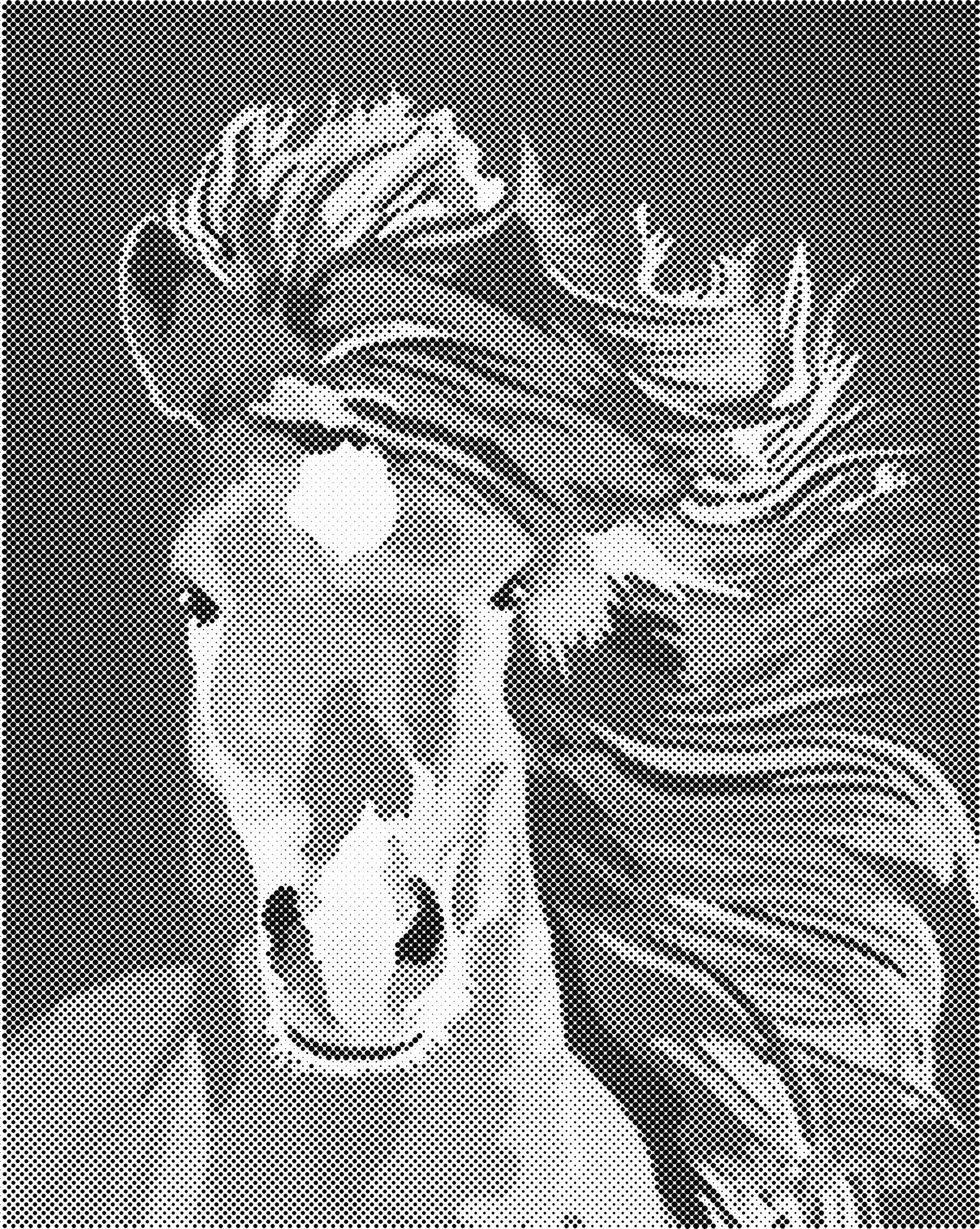 Mooi paard | Dot painting