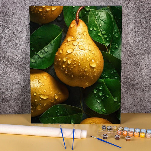 Citroen | Schilderen op Nummer