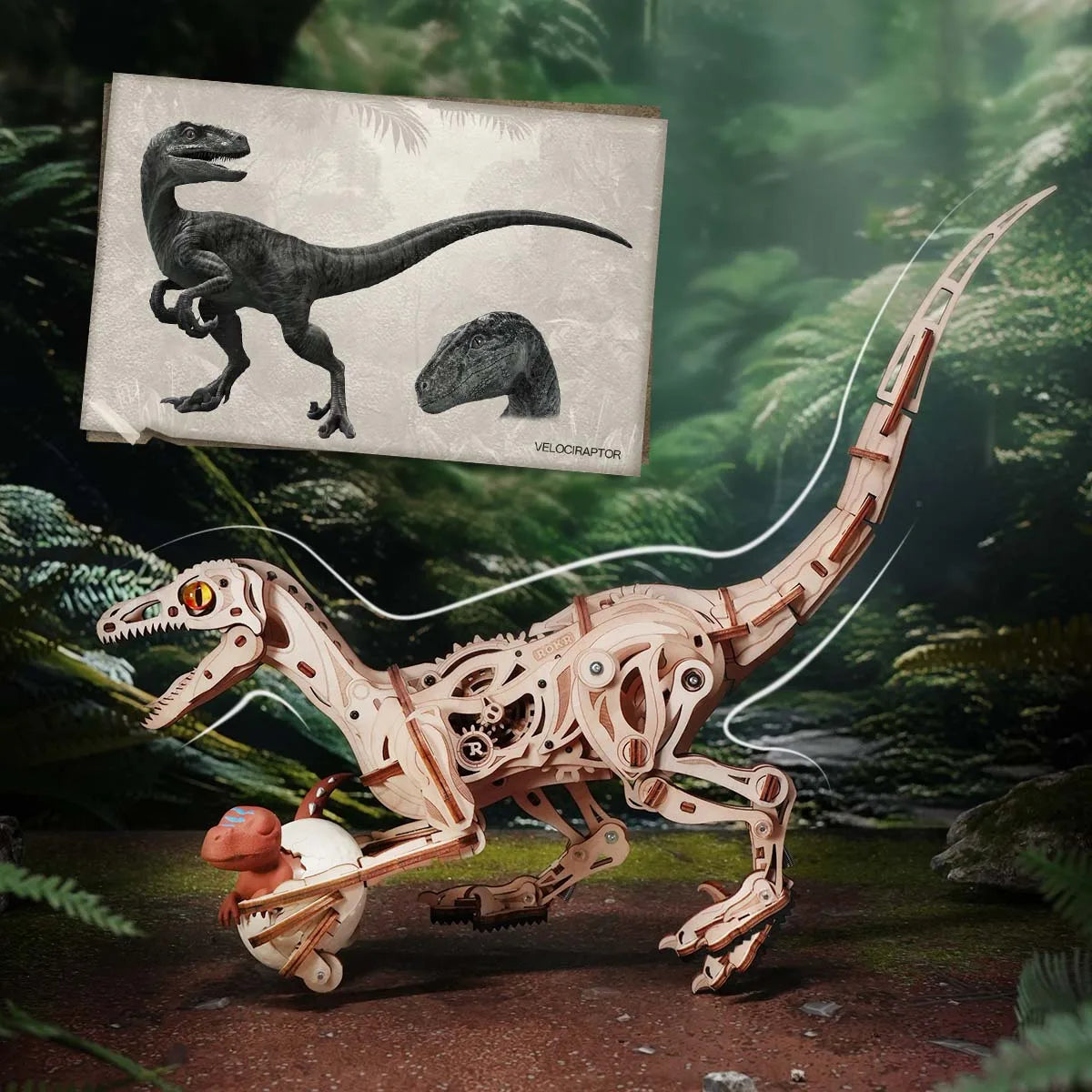 Velociraptor | Houten Bouwpakketten