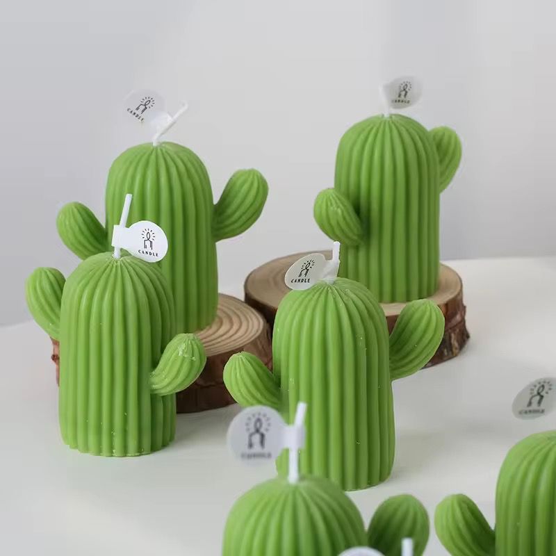 Cactus mal | Kaarsen maken