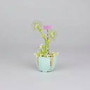 Planten | Bouwsteentjes