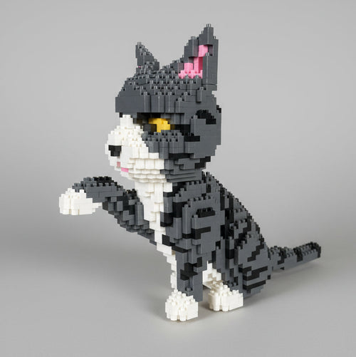 Grijze Kat | Bouwsteentjes