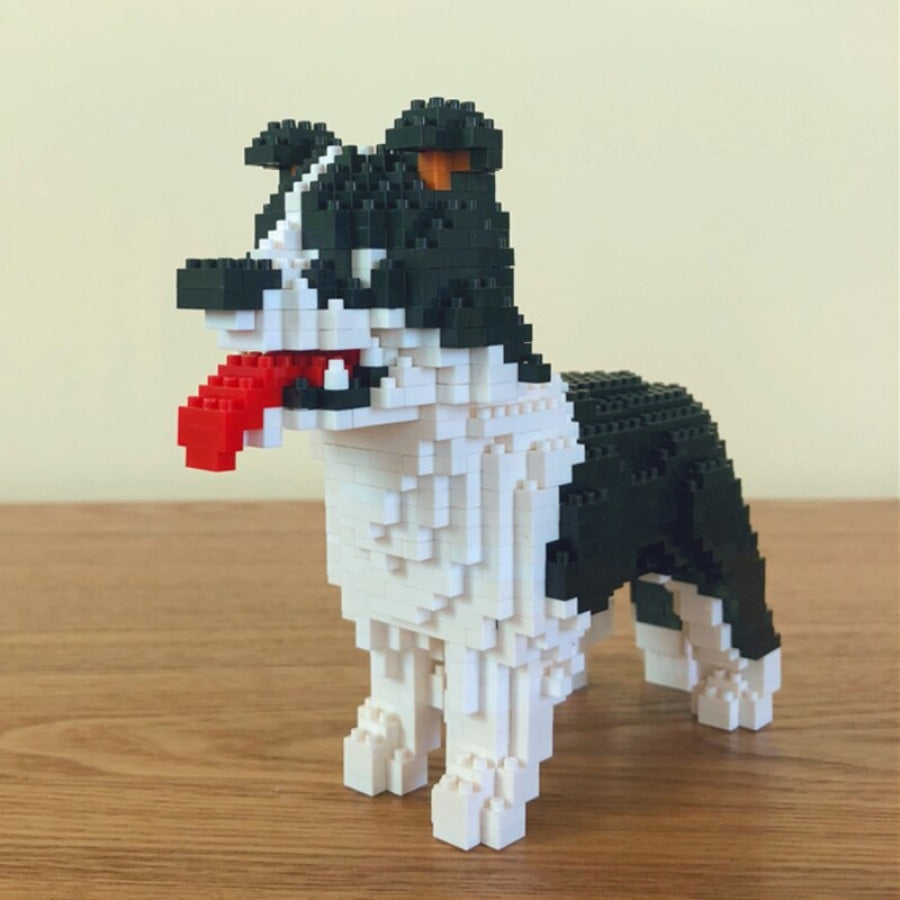 Border Collie Bouwblokjes