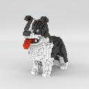 Border Collie | Bouwsteentjes