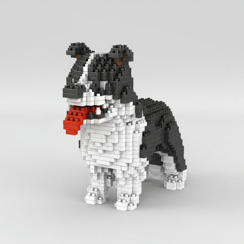 Border Collie Bouwblokjes