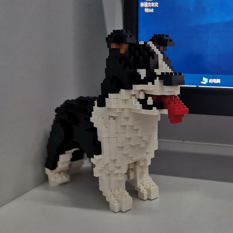 Border Collie Bouwblokjes