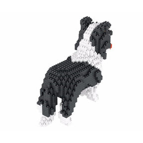 Border Collie Bouwblokjes